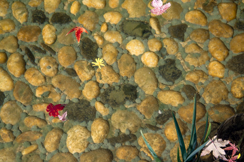 園冶杯專業獎:漢口江灘長江二橋至武漢關景觀提升工程