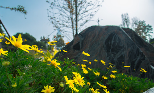 園冶杯專業獎:漢口江灘長江二橋至武漢關景觀提升工程