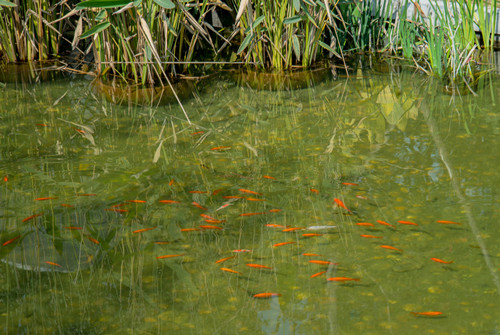 園冶杯專業獎:漢口江灘長江二橋至武漢關景觀提升工程