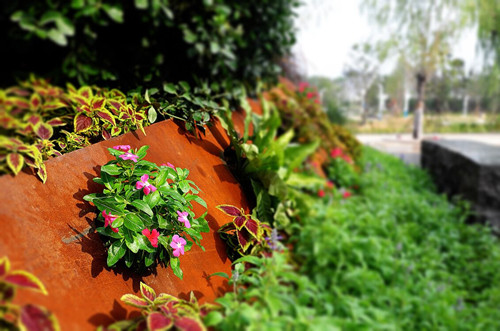 2017園冶杯專業獎現場評審啟動 第一站鄭州