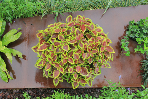 2017園冶杯專業獎現場評審啟動 第一站鄭州