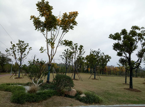 2017園冶杯專業(yè)獎現(xiàn)場評審報道（安徽站）