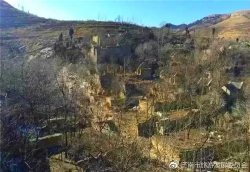 濟(jì)南章丘這個(gè)古村落里竟藏著顆千年古樹
