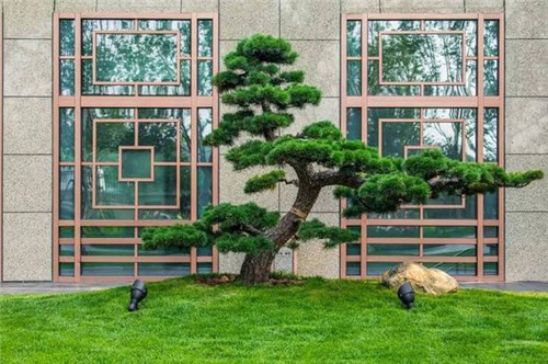 農莊庭院景觀設計技巧