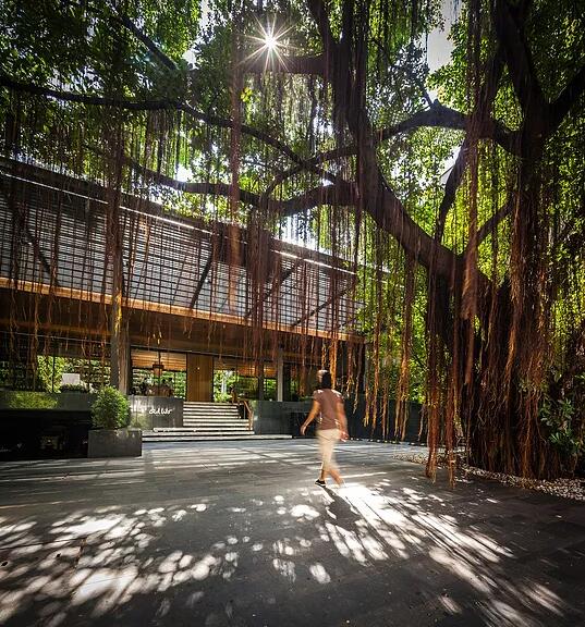 泰國曼谷Ad lib酒店景觀設(shè)計(jì)