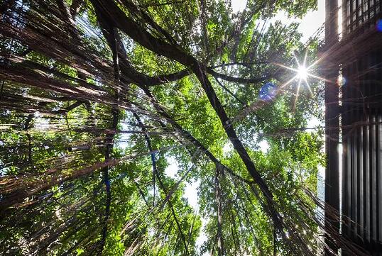 泰國曼谷Ad lib酒店景觀設(shè)計(jì)