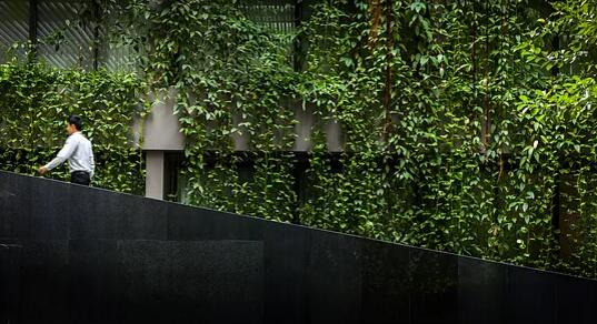 泰國曼谷Ad lib酒店景觀設(shè)計(jì)