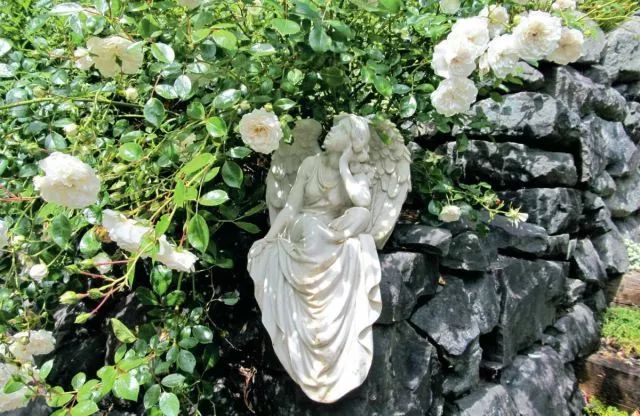 混合花境設(shè)計與種植建議