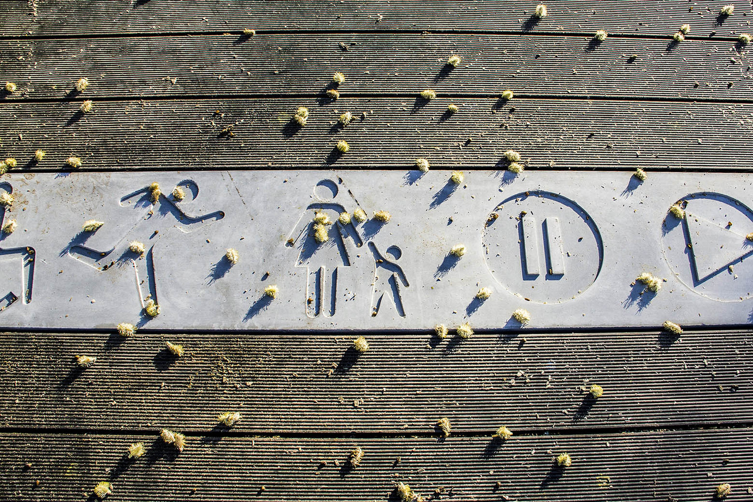 葡萄牙蒂爾索圣潔Ribeiro do Matadouro公園