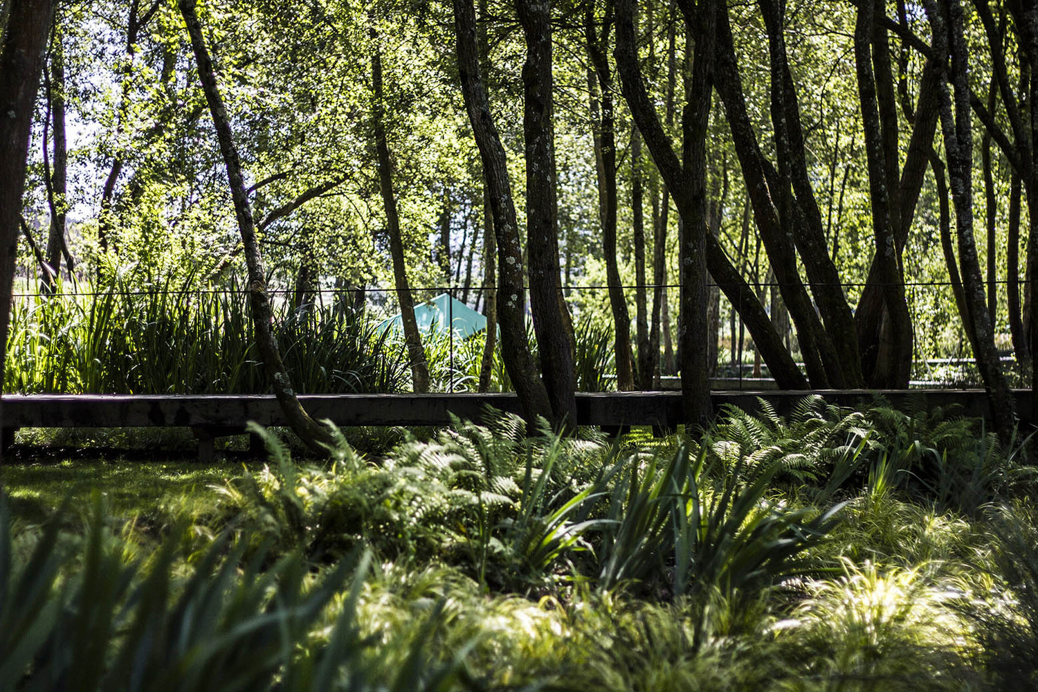 葡萄牙蒂爾索圣潔Ribeiro do Matadouro公園