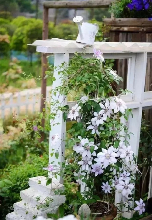 劉俊建了座2畝的鮮花小鎮