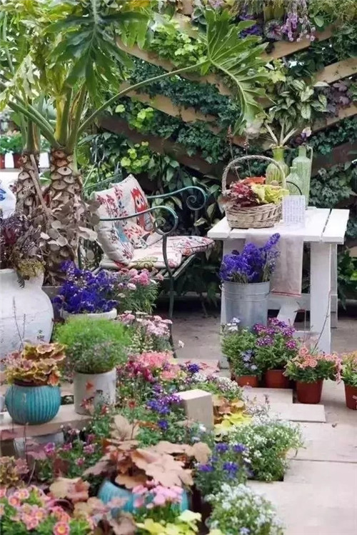 劉俊建了座2畝的鮮花小鎮