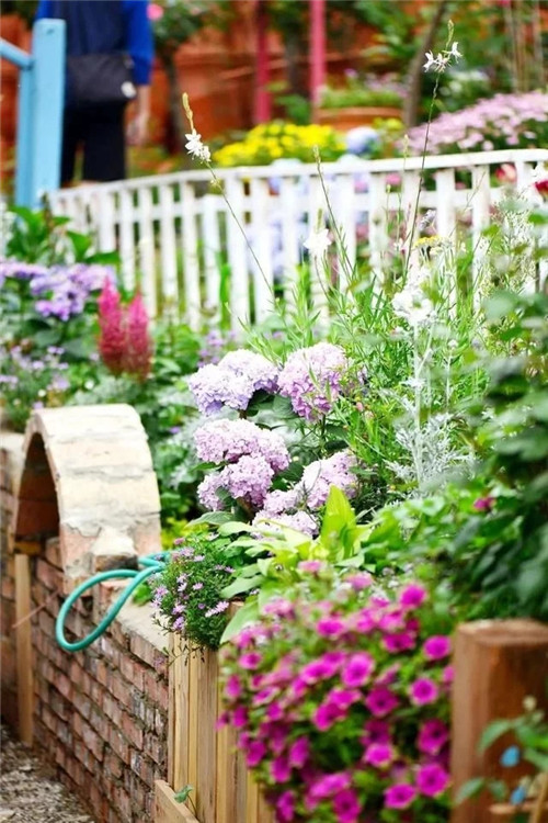 劉俊建了座2畝的鮮花小鎮