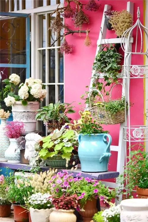 劉俊建了座2畝的鮮花小鎮