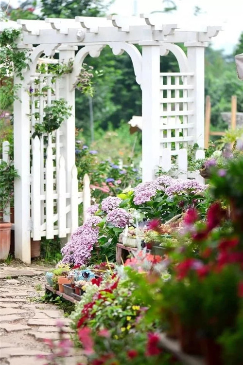 劉俊建了座2畝的鮮花小鎮