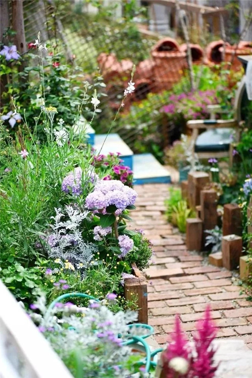 劉俊建了座2畝的鮮花小鎮