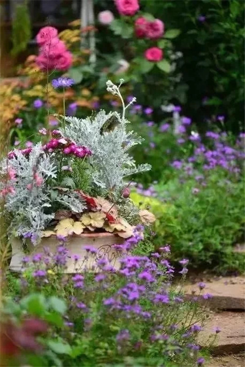 劉俊建了座2畝的鮮花小鎮