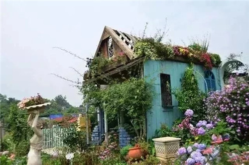 劉俊建了座2畝的鮮花小鎮