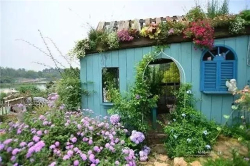 劉俊建了座2畝的鮮花小鎮