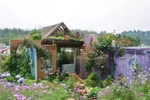 劉俊建了座2畝的鮮花小鎮