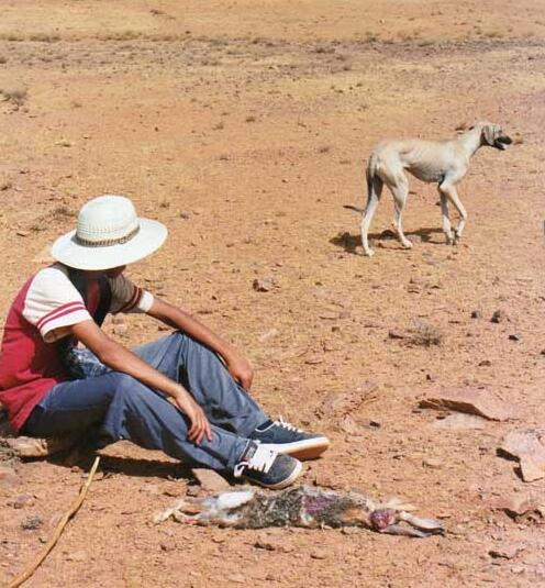 氣候變化將在全球產生哪些影響?