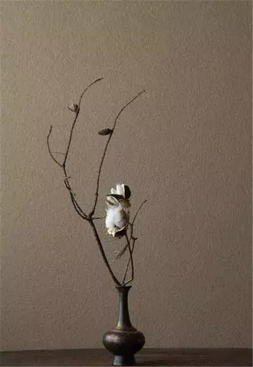 插花搭配的八大要點