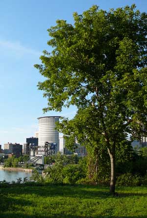 綠色基礎設施：一種形成城市景觀的途徑