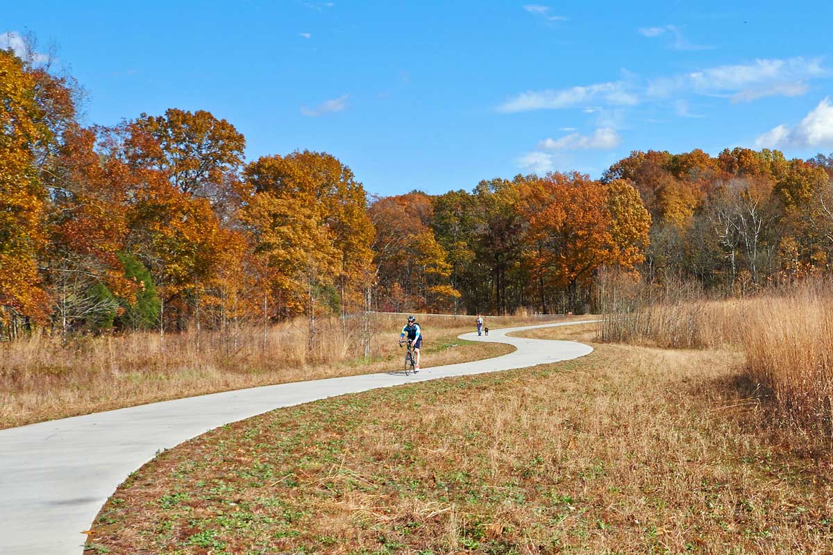 綠色基礎設施框架中的弗洛伊茲?？斯珗@