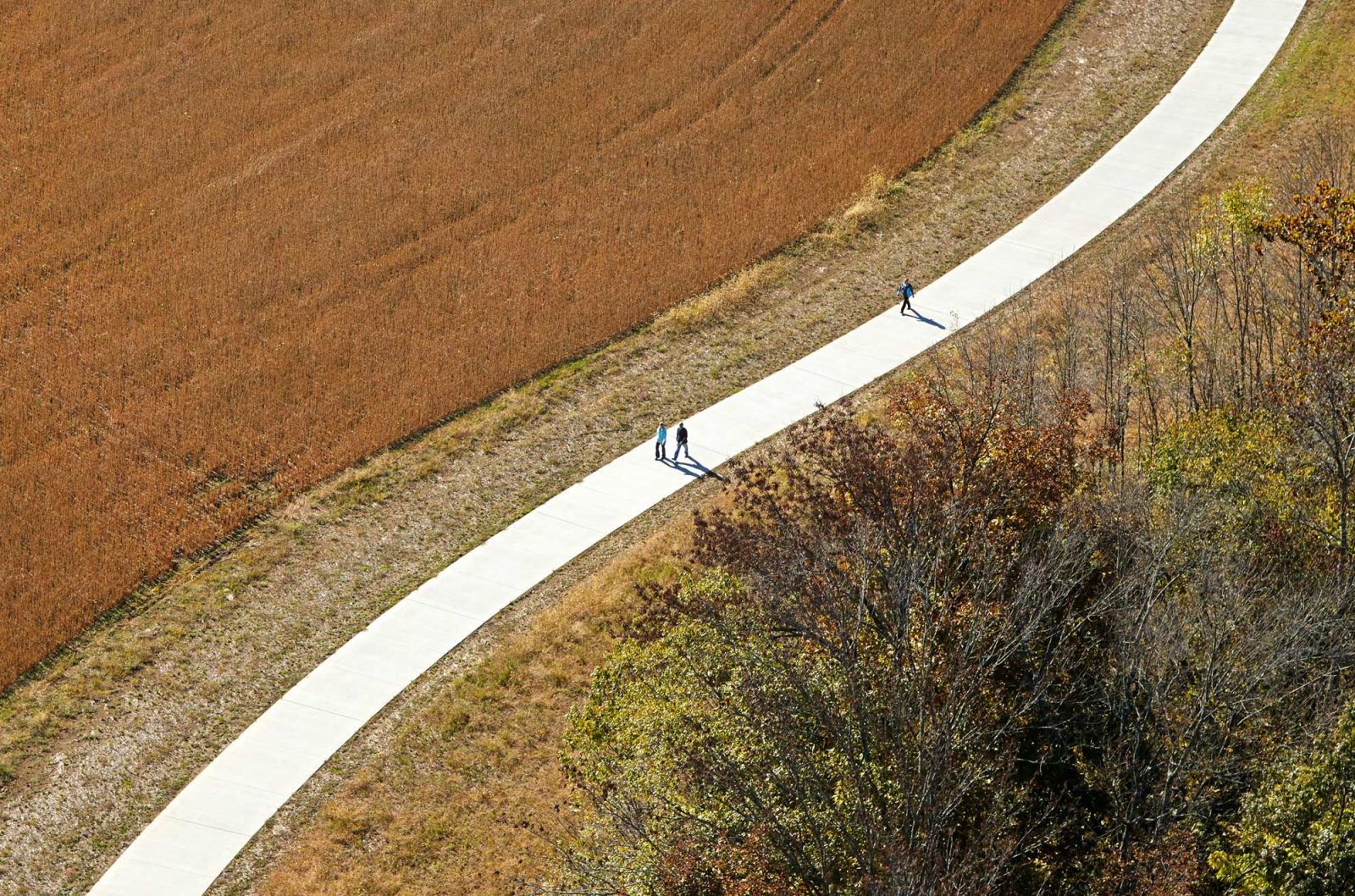 綠色基礎設施框架中的弗洛伊茲?？斯珗@