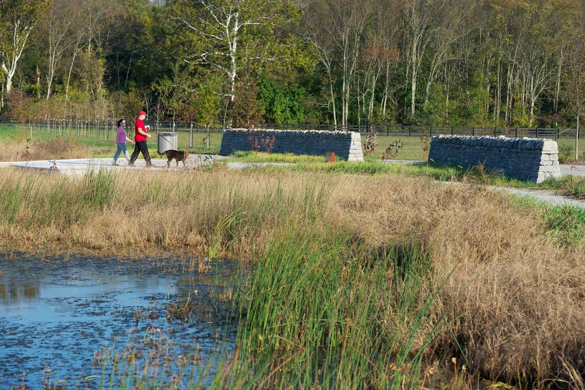 綠色基礎設施框架中的弗洛伊茲?？斯珗@