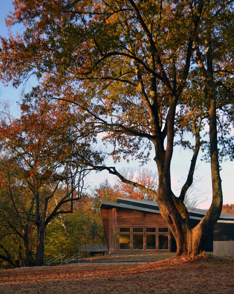 綠色基礎設施框架中的弗洛伊茲?？斯珗@