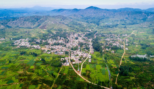 郗金標：應用型本科園林專業實踐教學模式探討