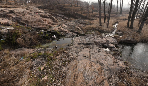 郗金標：應用型本科園林專業實踐教學模式探討