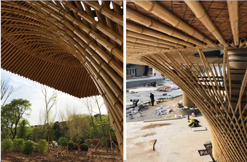 朱玲：一體化設(shè)計之景觀先行