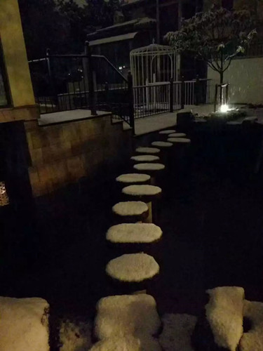 王達:從庭院到風景,重回中國造園的原點