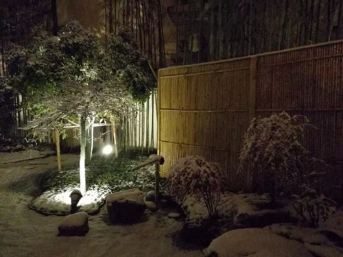 王達:從庭院到風景,重回中國造園的原點