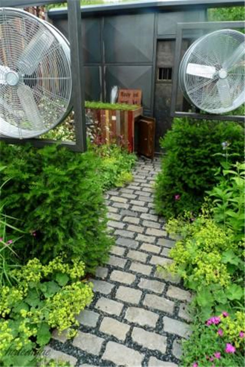 石頭“玫瑰花園”，深深打動(dòng)了我！