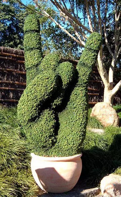 全球創(chuàng)意主題植物雕塑欣賞