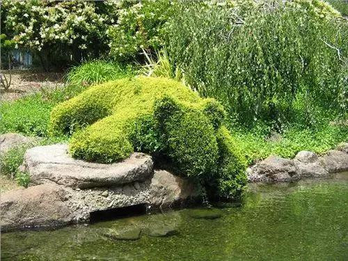 全球創(chuàng)意主題植物雕塑欣賞