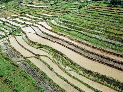 酉陽龍甲梯田：繪出醉美的大地曲線