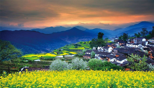 笛東：依托全域旅游的視角引導鄉(xiāng)村振興