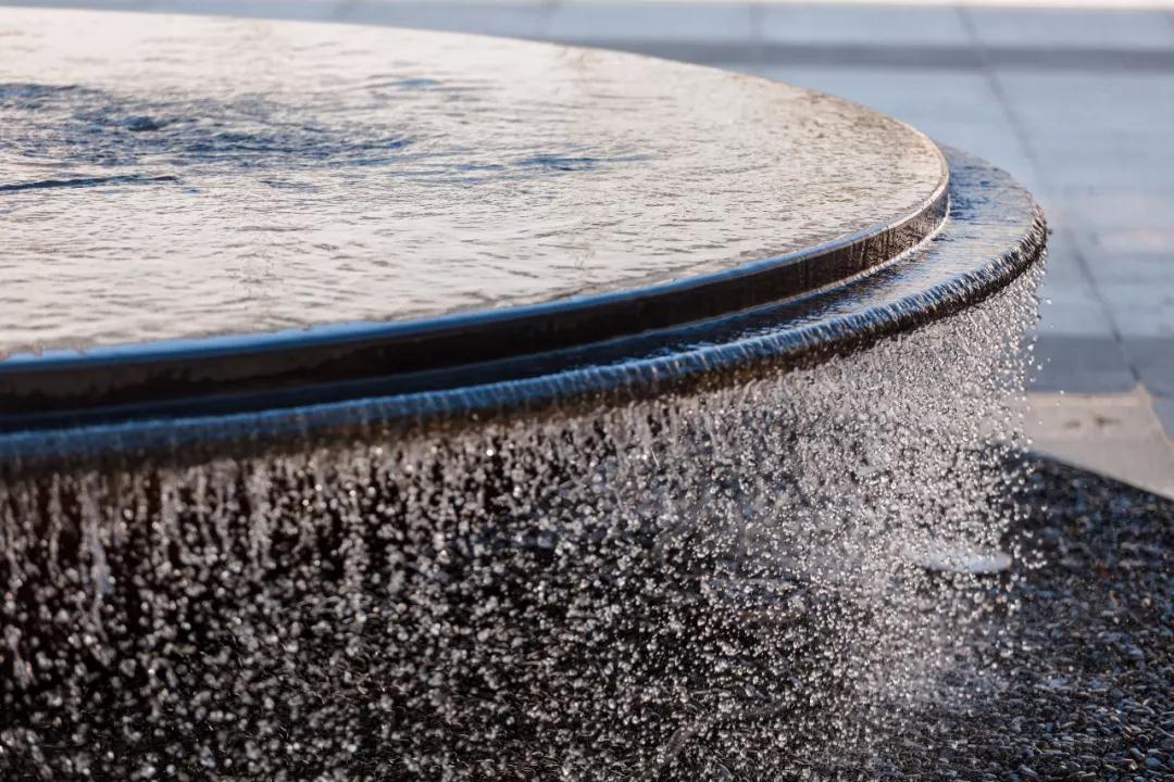 有的魚是永遠都關不住的 | 公元2040