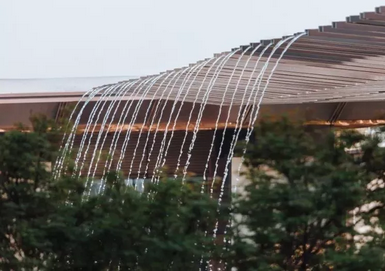 有的魚是永遠都關不住的 | 公元2040