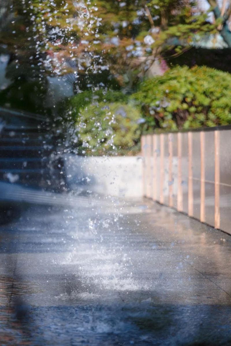 有的魚是永遠都關不住的 | 公元2040