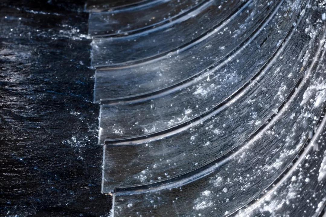 有的魚是永遠都關不住的 | 公元2040