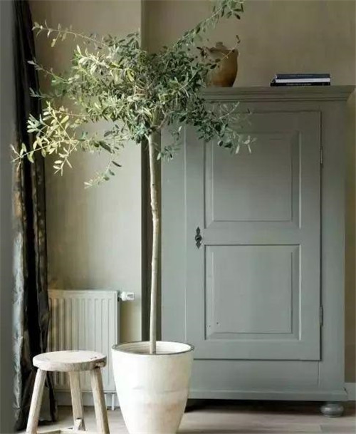 這樣插花，即使花謝了屋子依然會(huì)很美