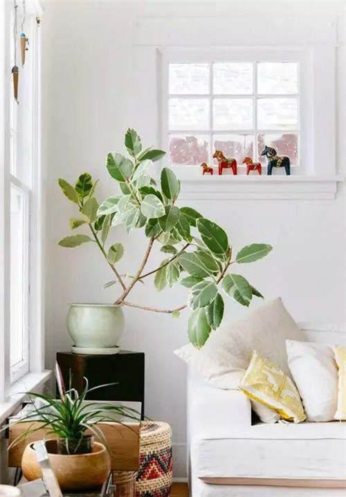 這樣插花，即使花謝了屋子依然會(huì)很美