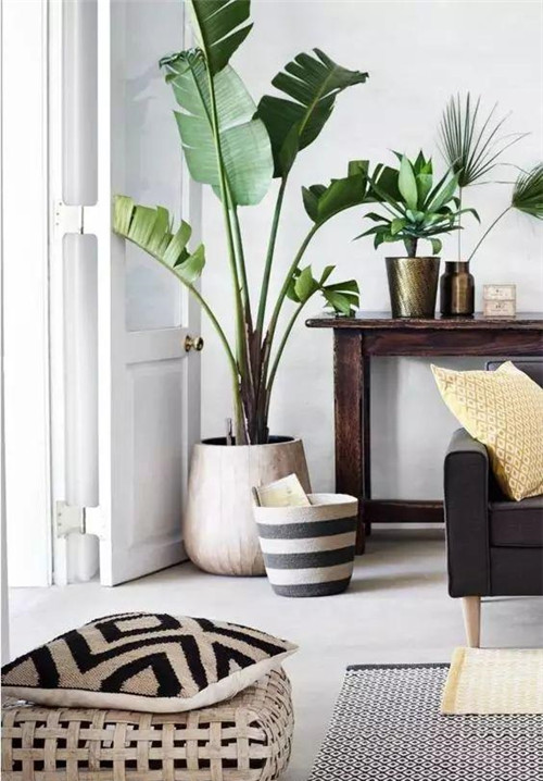 這樣插花，即使花謝了屋子依然會(huì)很美