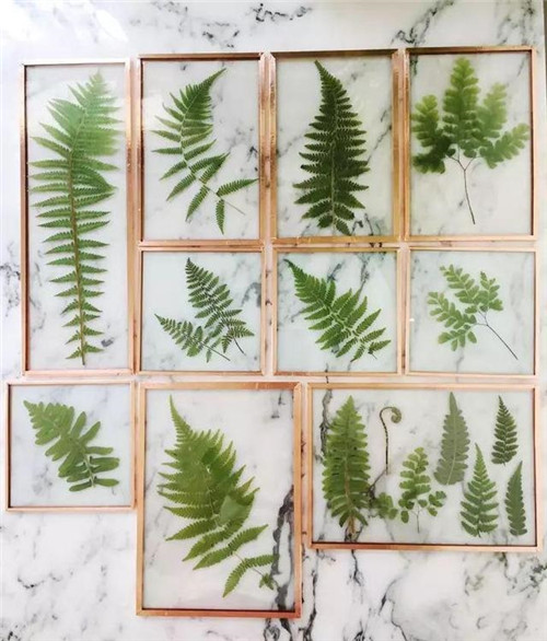 這樣插花，即使花謝了屋子依然會(huì)很美