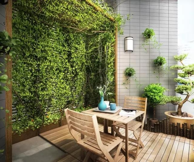 陽臺花園設計:愿你有一個陽臺繁花爬過欄桿